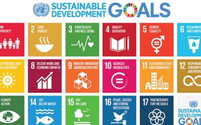 Cycle de Formation sur les nations unies et les objectifs du développement  durable