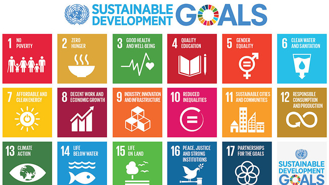 Cycle de Formation sur les nations unies et les objectifs du développement  durable