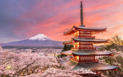 Japan scholarship offer 2022