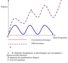 Toxicité Précoce