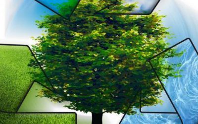 مديرية البيئة لولاية البليدة و المؤسسة العمومية الولائية لتسير مراكز الردم التقني لولاية البليinc