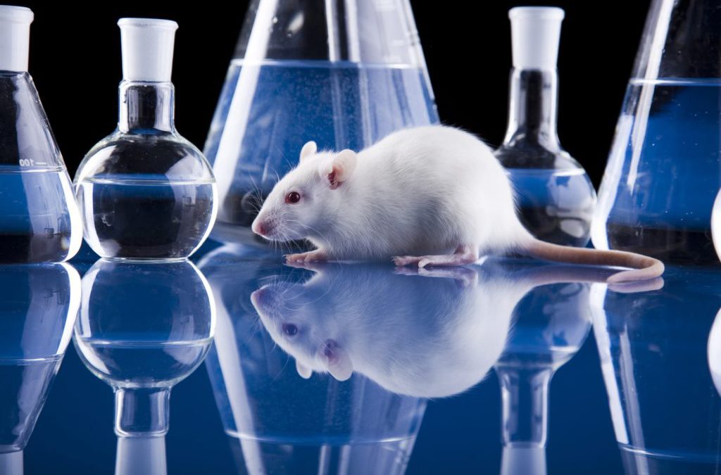 Formation sur  L’Ethique et les Bonnes Pratiques en Expérimentation  Animale