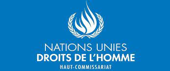 Call for applications for mandate holders (OHCHR)