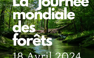 Journée des Forêts Avril 2024