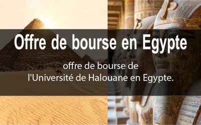 egypt scholarship offer