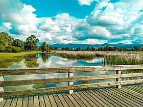 Algeria wetlands