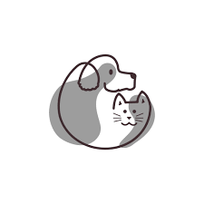 قسم الطب، الجراحة و التكاثر الحيواني