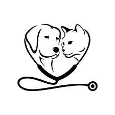 قسم الطور السريري