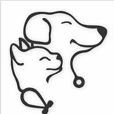 قسم الطور ما قبل السريري