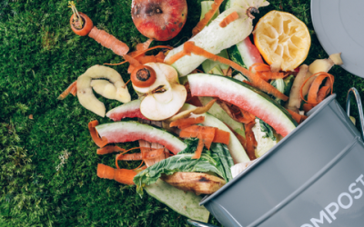 الدورة السادسة للمؤتمر الوطني حول الصناعات الغذائية والتغذية والتنمية المستدامة