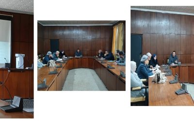 إنشاء اللجنة الوطنية لمواكبة التحول الرقمي في المجالين البيداغوجي والبحثي