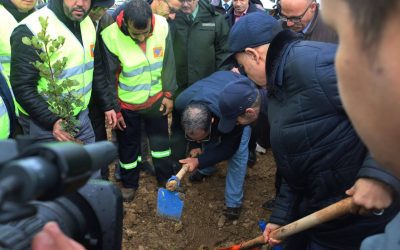 جامعة البليدة 1 في قلب الحملة الوطنية للتشجير