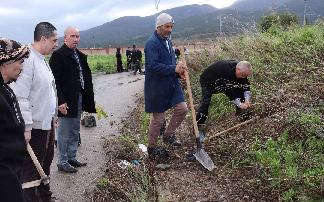 حملة التشجير الوطنية الكبرى