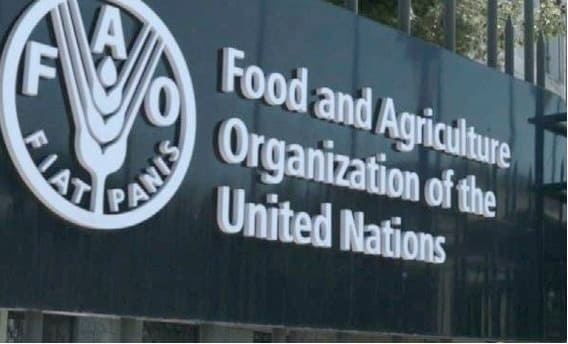 FAO إشعاع دولي جديد لجامعة البليدة 1 في كتاب صادر عن منظمة 